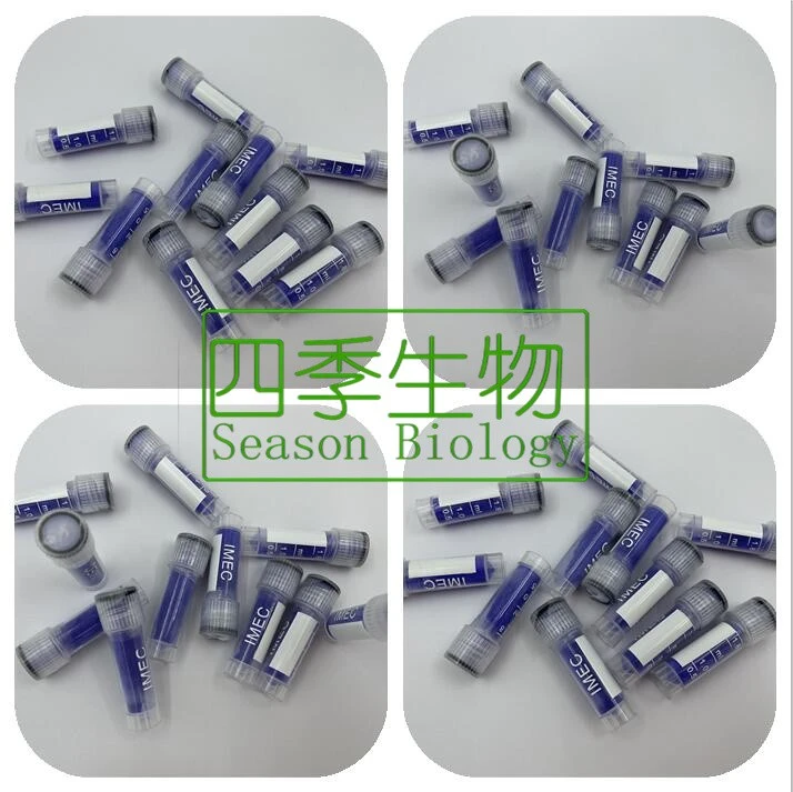 Copper Peptide GHK CU Powder